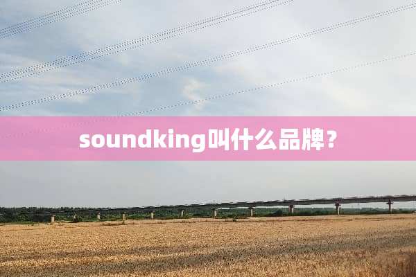 soundking叫什么品牌？