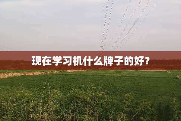现在学习机什么牌子的好？