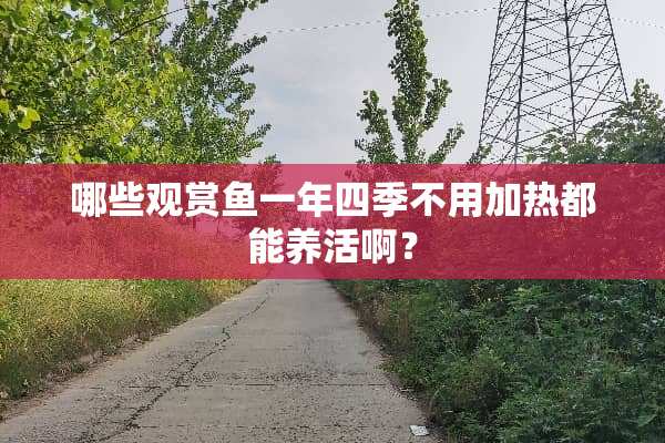 哪些观赏鱼一年四季不用加热都能养活啊？