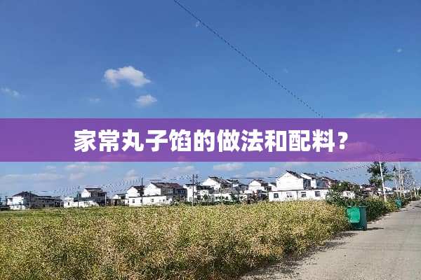 家常丸子馅的做法和配料？