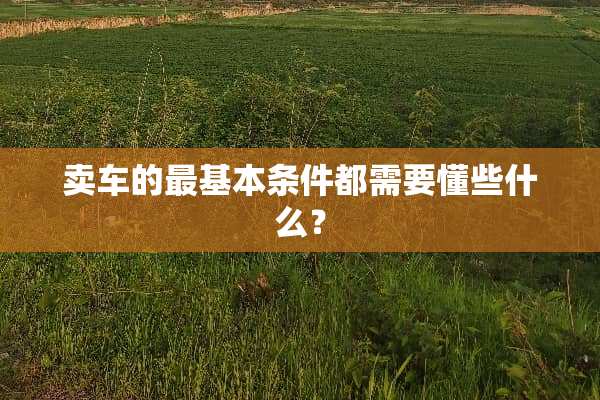 卖车的最基本条件都需要懂些什么？