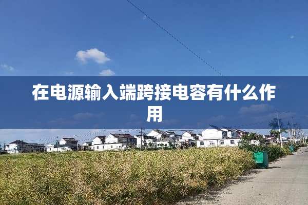 在电源输入端跨接电容有什么作用