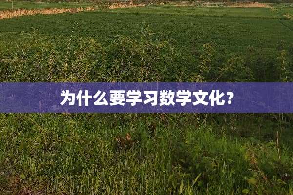为什么要学习数学文化？