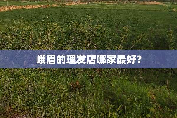 峨眉的理发店哪家最好？