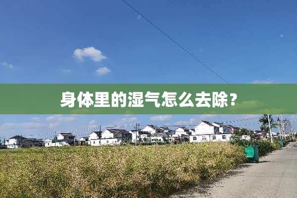 身体里的湿气怎么去除？