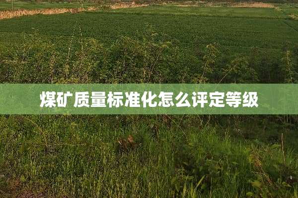 煤矿质量标准化怎么评定等级