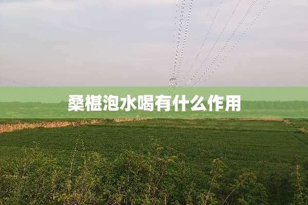 桑椹泡水喝有什么作用