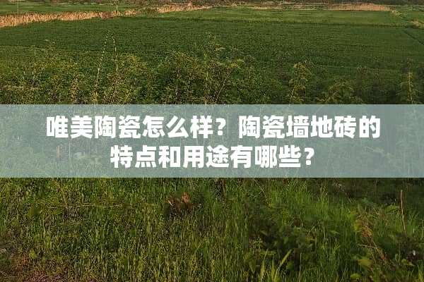 唯美陶瓷怎么样？陶瓷墙地砖的特点和用途有哪些？