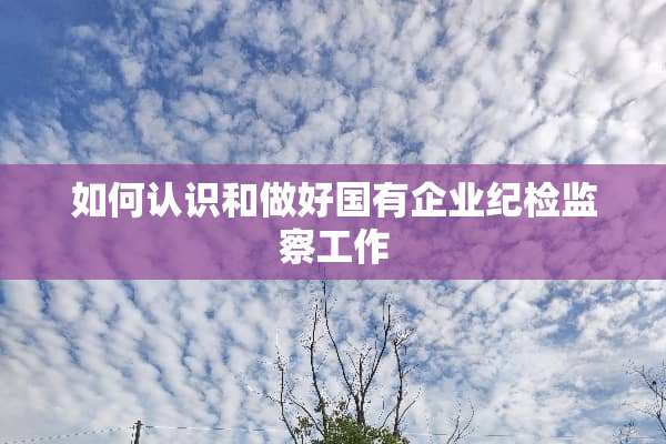 如何认识和做好国有企业纪检监察工作