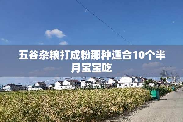 五谷杂粮打成粉那种适合10个半月宝宝吃