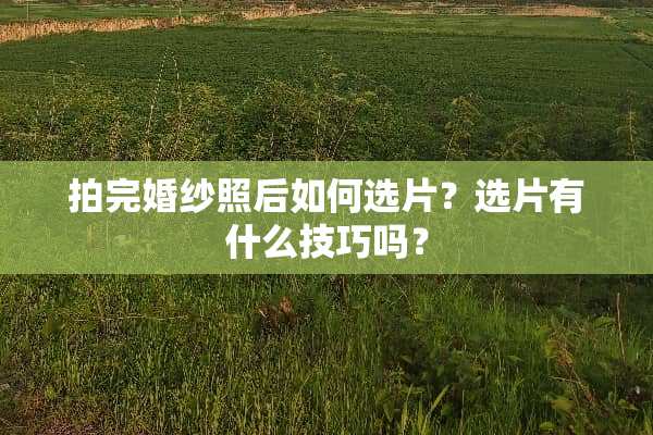 拍完婚纱照后如何选片？选片有什么技巧吗？