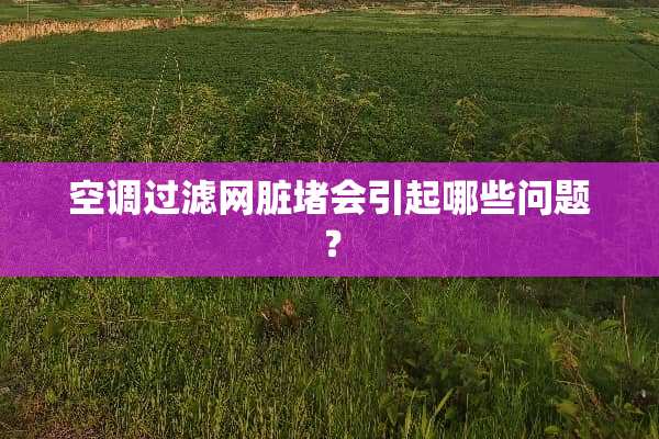 空调过滤网脏堵会引起哪些问题？