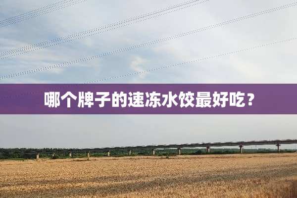 哪个牌子的速冻水饺最好吃？