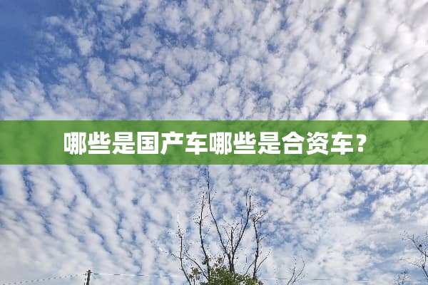 哪些是国产车哪些是合资车？