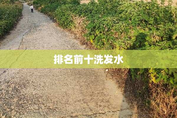 排名前十洗发水