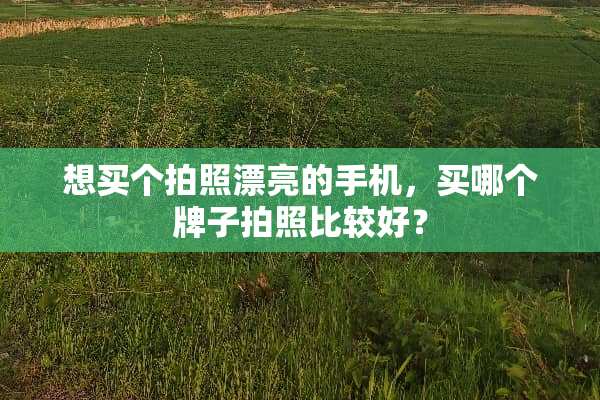 想买个拍照漂亮的手机，买哪个牌子拍照比较好？