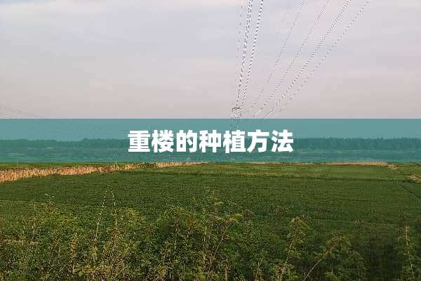 重楼的种植方法