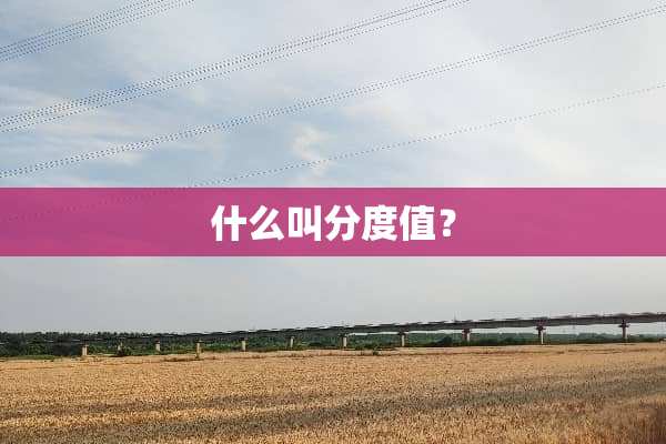 什么叫分度值？