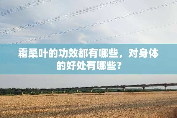 霜桑叶的功效都有哪些，对身体的好处有哪些？