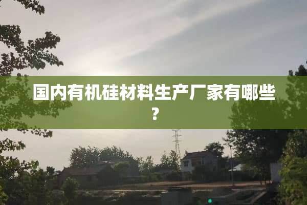 国内有机硅材料生产厂家有哪些？