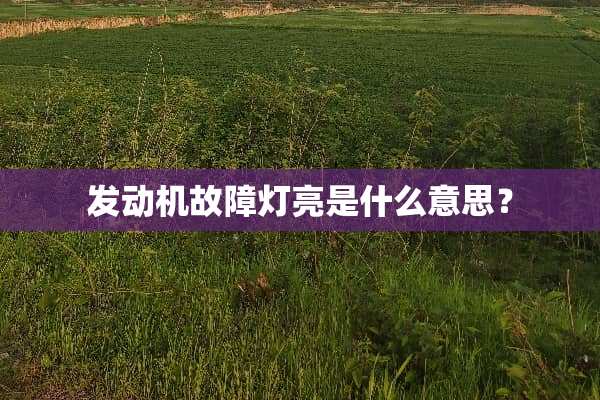 发动机故障灯亮是什么意思？