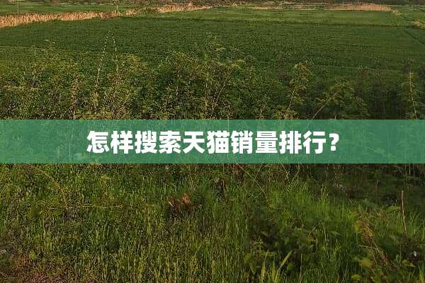 怎样搜索天猫销量排行？