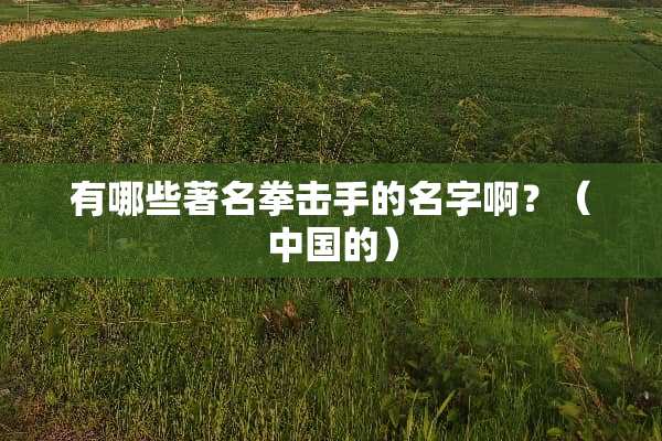 有哪些著名拳击手的名字啊？（中国的）
