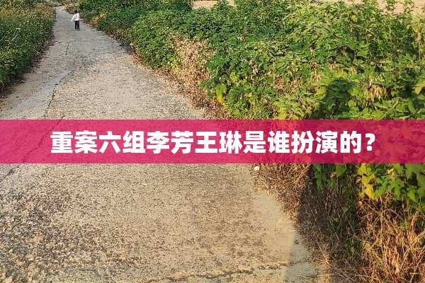 重案六组李芳王琳是谁扮演的？