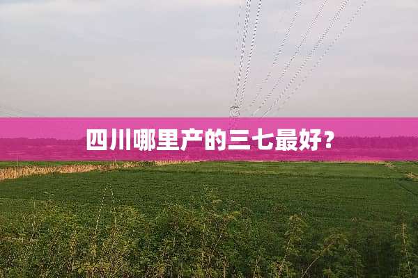 四川哪里产的三七最好？