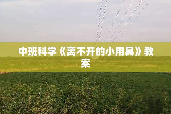 中班科学《离不开的小用具》教案