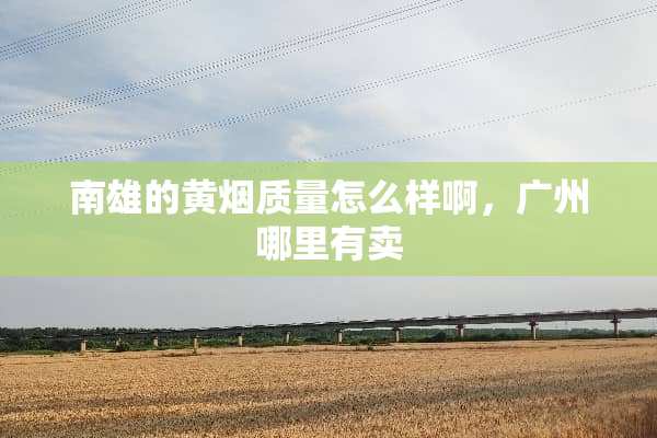 南雄的黄烟质量怎么样啊，广州哪里有卖