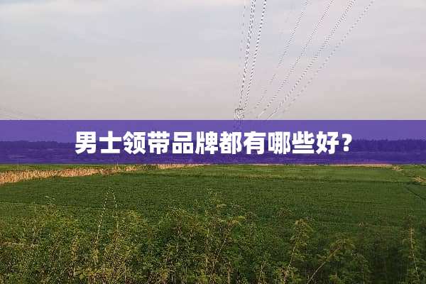 男士领带品牌都有哪些好？