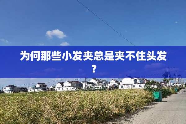 为何那些小发夹总是夹不住头发？