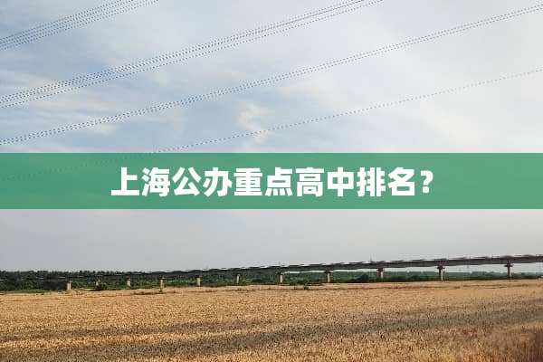 上海公办重点高中排名？