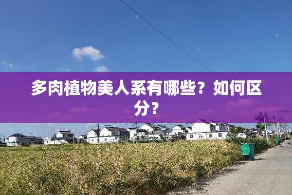 多肉植物美人系有哪些？如何区分？
