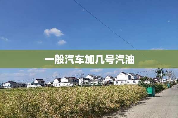 一般汽车加几号汽油