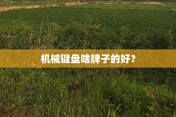 机械键盘啥牌子的好？