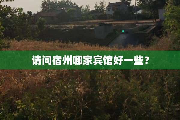 请问宿州哪家宾馆好一些？