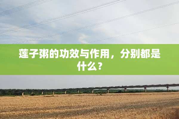 莲子粥的功效与作用，分别都是什么？