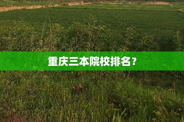 重庆三本院校排名？