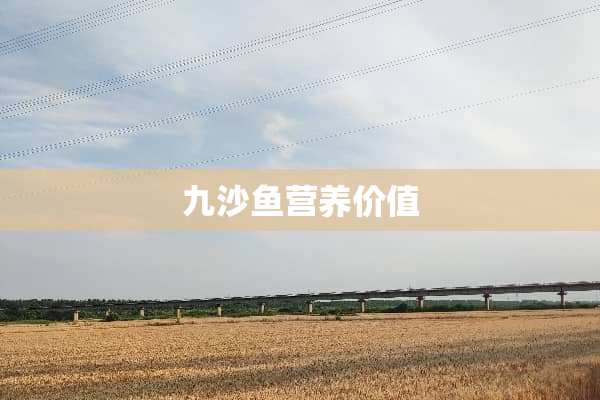 九沙鱼营养价值