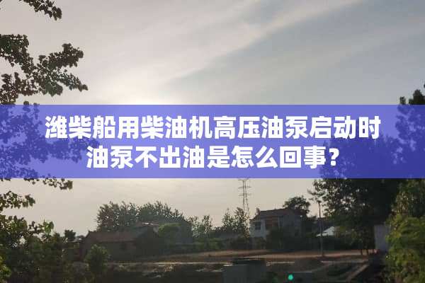 潍柴船用柴油机高压油泵启动时油泵不出油是怎么回事？