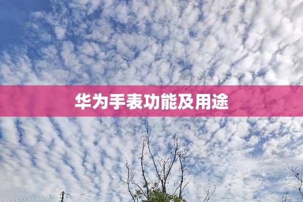 华为手表功能及用途