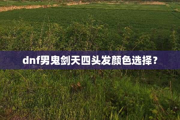 dnf男鬼剑天四头发颜色选择？
