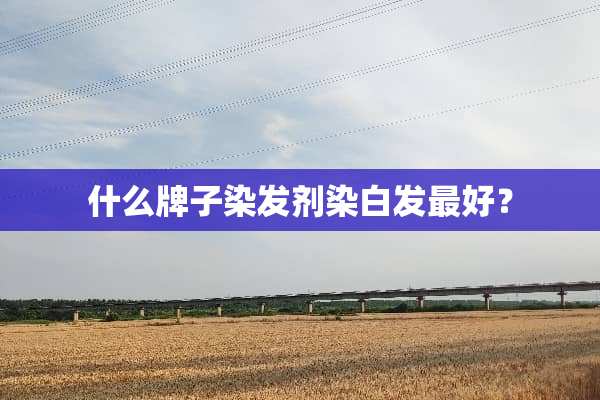 什么牌子染发剂染白发最好？