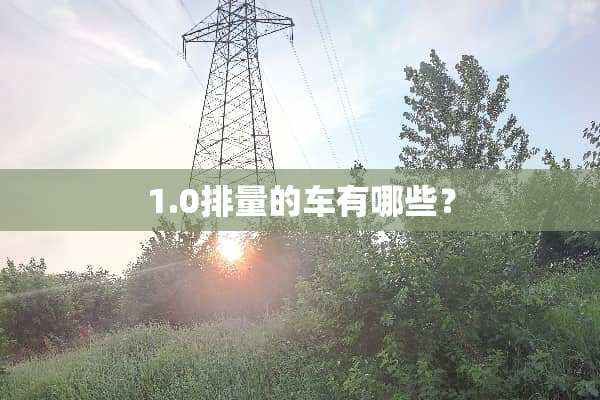 1.0排量的车有哪些？
