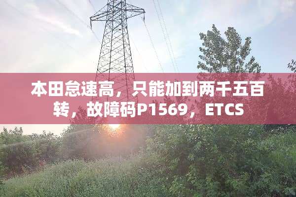 本田怠速高，只能加到两千五百转，故障码P1569，ETCS