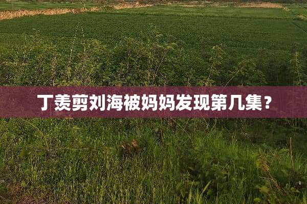 丁羡剪刘海被妈妈发现第几集？