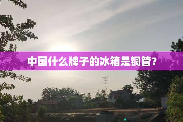 中国什么牌子的冰箱是铜管？