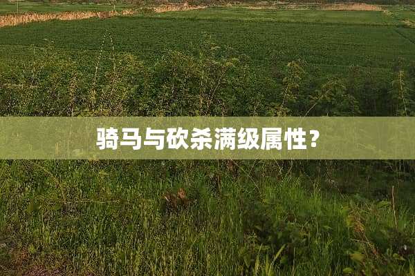 骑马与砍杀满级属性？